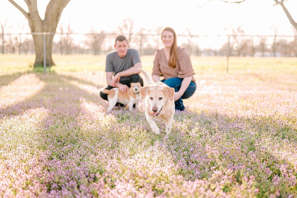 Family session with dog